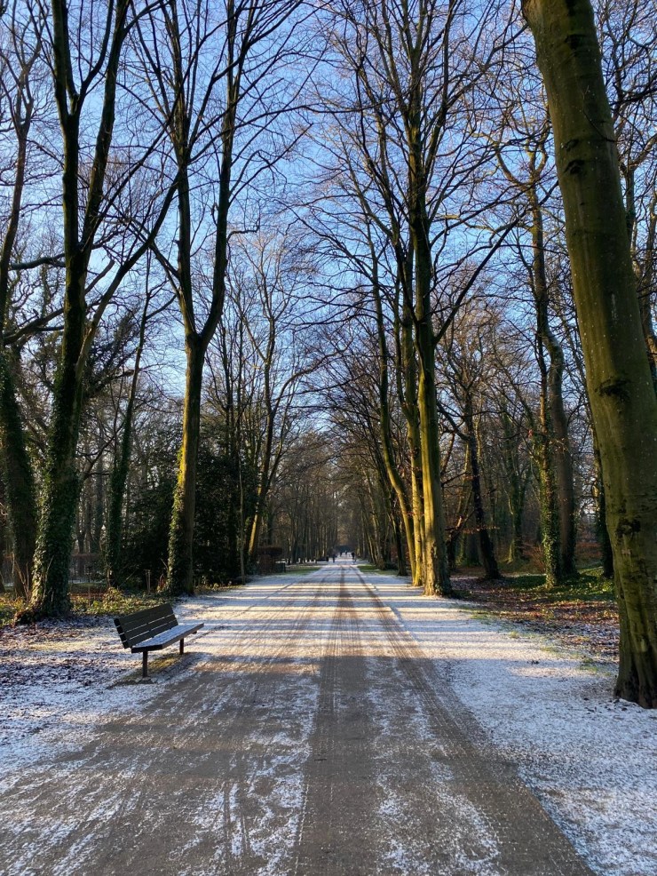 Announcements and Order of Service, Sunday 23rd November&nbsp;2025.