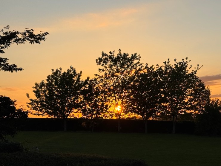 Announcements and Order of Service, Sunday 7th December&nbsp;2025.