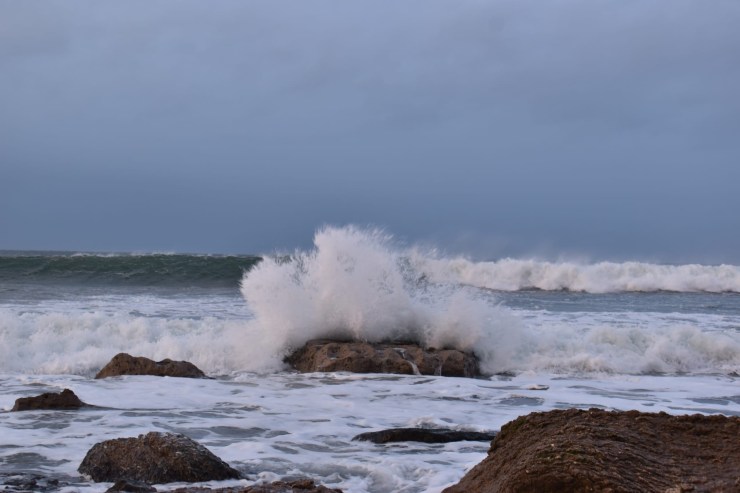 Announcements and Order of Service, Sunday 25th January,&nbsp;2026.