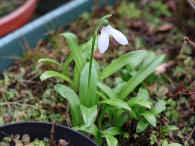 Announcements and Order of Service, Sunday 1st March&nbsp;2026