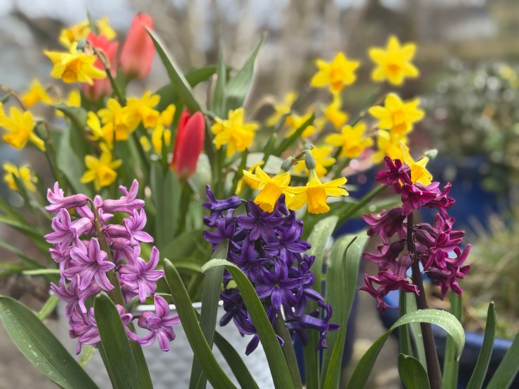 Latest Announcements and Order of Service, Sunday 5th April&nbsp;2026.